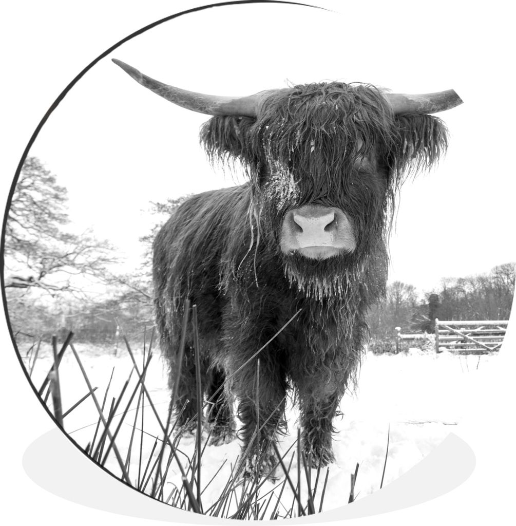 MuchoWow - Wand Bild - Wohnzimmer - Runde Bilder - Alubilder - Kunst für zu Hause - Aluminium - Wanddekoration