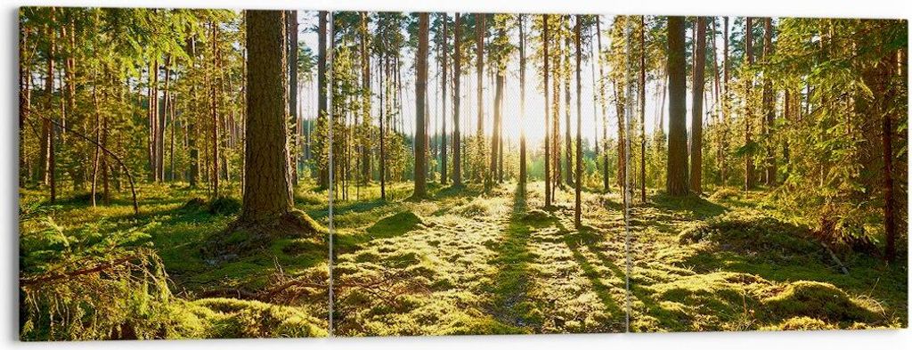 Bild auf Leinwand - Leinwandbild - Wald Baum Natur - 150x50cm - Wand Bild - Wanddeko - Wandbilder - Leinwanddruck - Bilder - Kunstdruck - Wanddekor...