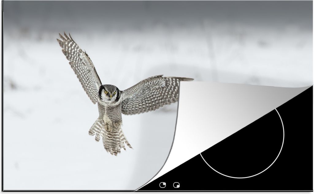 KitchenYeah Herdabdeckplatte Sperbereule seitwärts fliegend , 81x52cm, Küche Deko, Glaskeramikkochfeld Herdabdeckung, Abdeckplatte fùr Kochfeld