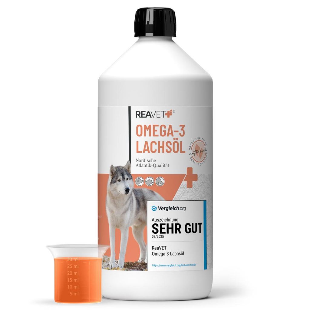 REAVET Lachsöl Hunde 1 Liter – Reich an Omega 3 & 6, Fischöl Hund hochdosiert, echte Lebensmittelqualität ohne Zusätze, frisch abgefüllt in ...