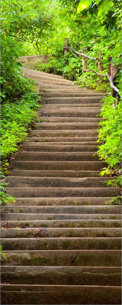 Wallario Poster - Steintreppe im Wald, Kunstdruck Größe: 50 x 125 cm