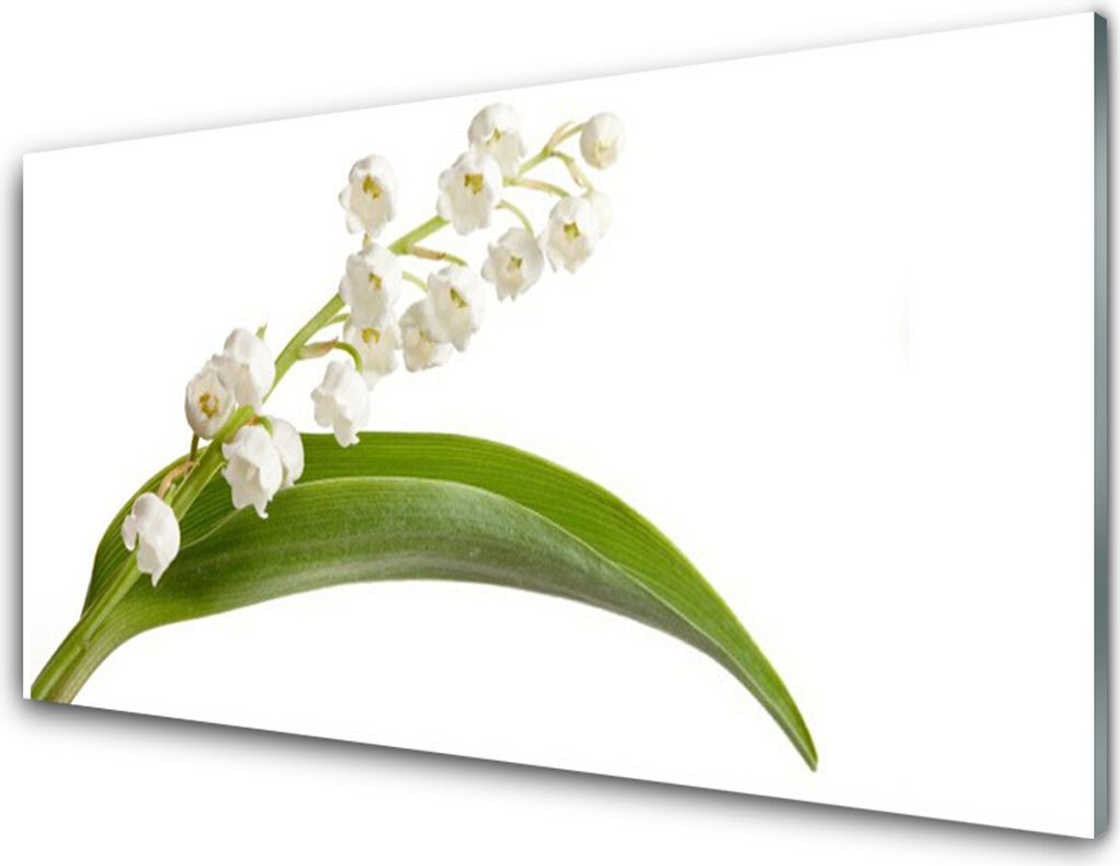 Acrylglasbilder 100x50 Wandbild Druck Blumen Pflanzen