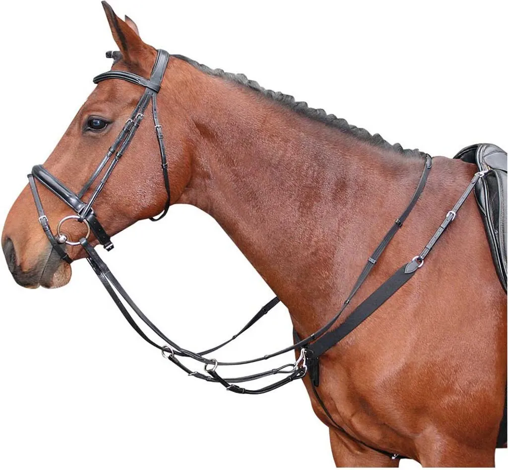 Collier de Chasse Noir Full pour Saut d'Obstacle et Cross Cheval - 2
