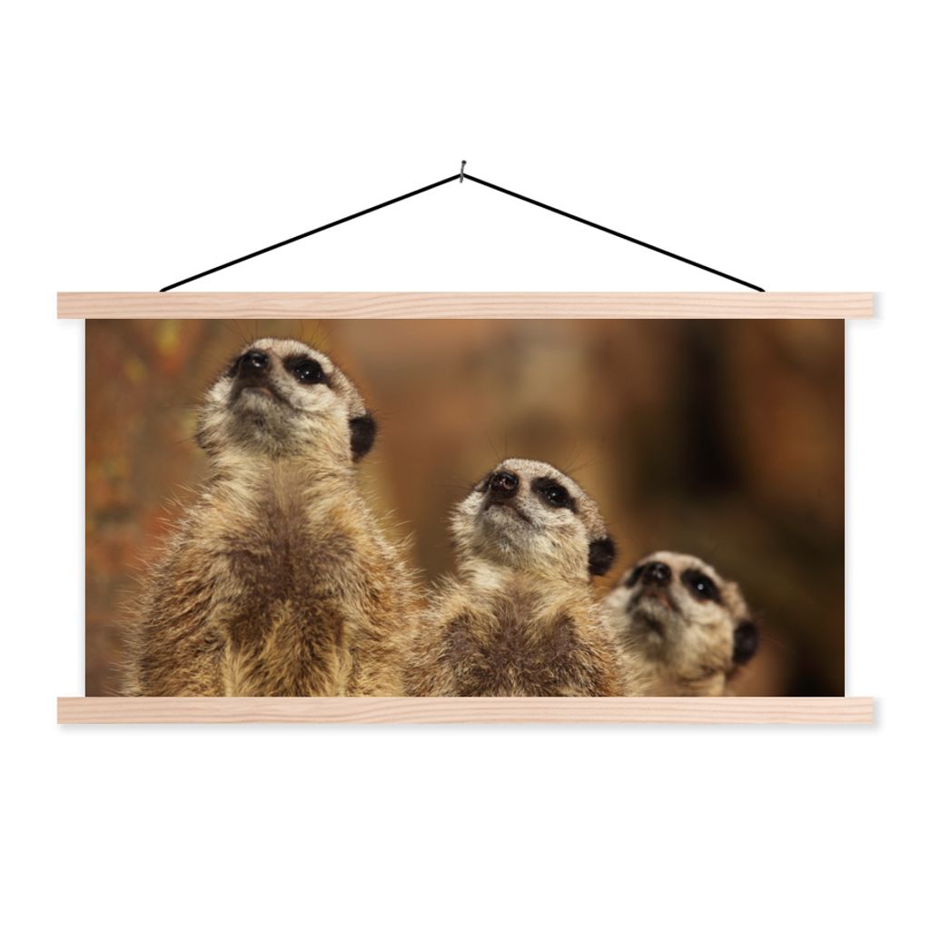 MuchoWow Textilposter Sonne - Erdmännchen - Familie 150x75 cm mit holzfarbenen Rahmen - Plakate