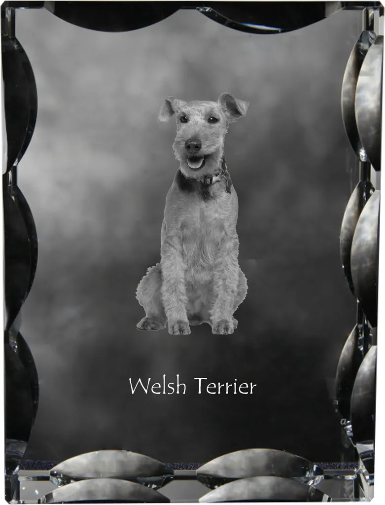 Terrier Gallese Cristallo con Foto Art-Dog - Statuetta in Vetro Regalo