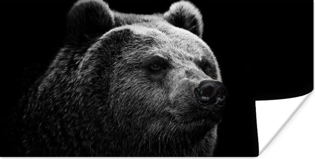 MuchoWow Poster Bär - Leicht - Schwarz 160x80 cm - Foto Poster