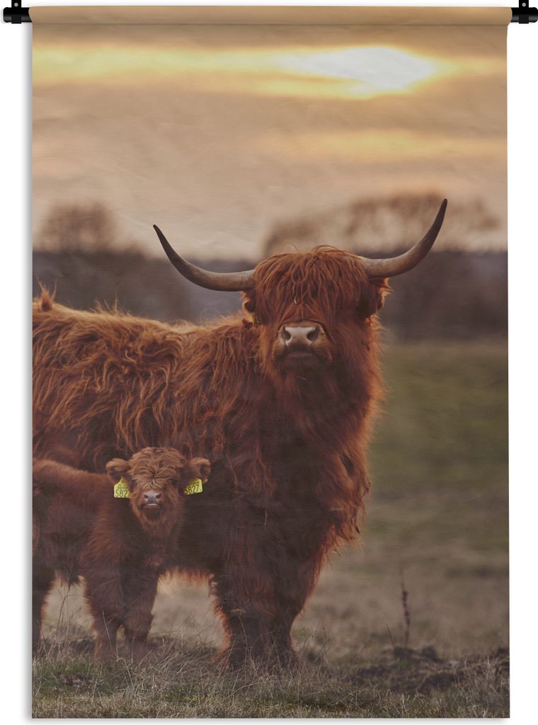 MuchoWow Wandteppich Wandbehang Schottische Highlander - Tiere - Landschaft - Sonnenuntergang - Kuh 60x90 cm Tapisserie Dekoration Wandtuch - Fot...