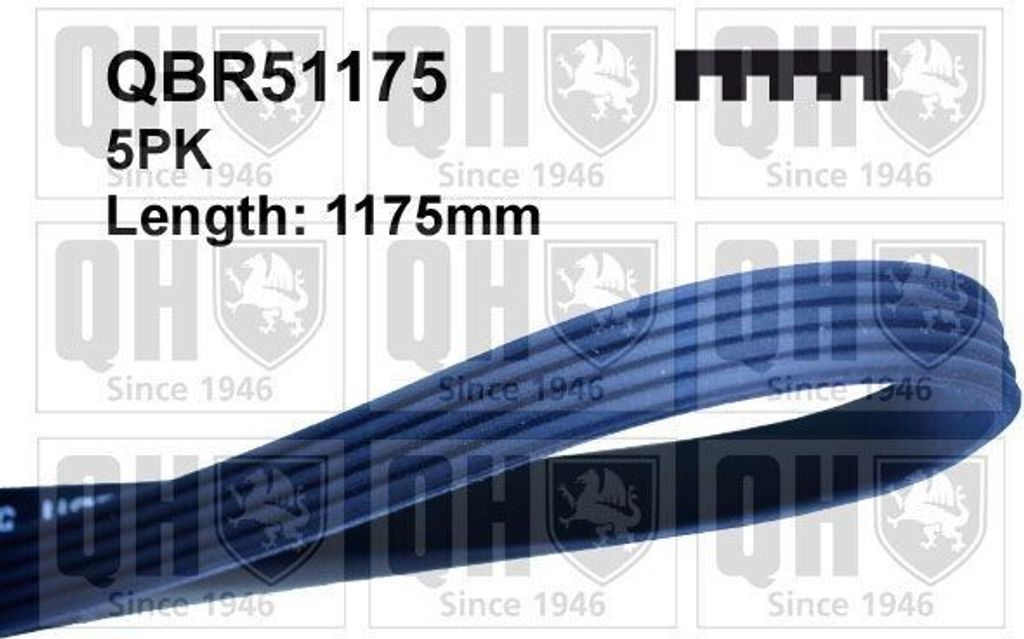 QUINTON HAZELL Keilrippenriemen 1175mm für FIAT PUNTO (188) QBR51175