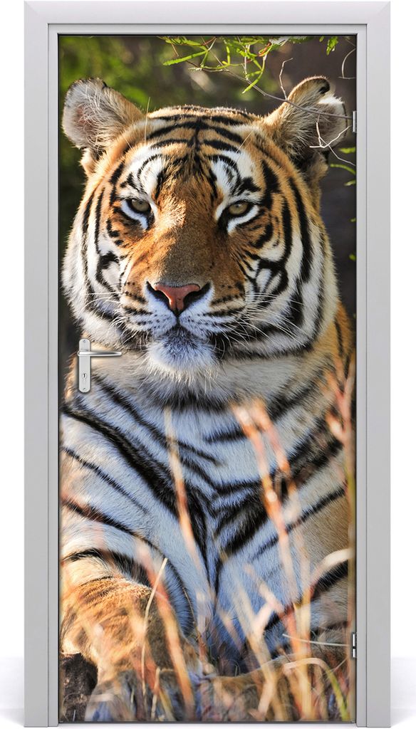 Tulup Türaufkleber 95x205 cm Dekorative Aufkleber Selbstklebend Wasserdichte Tapete Abnehmbar Schlafzimmer Wohnzimmer Wohnkultur - Tiger-Wand
