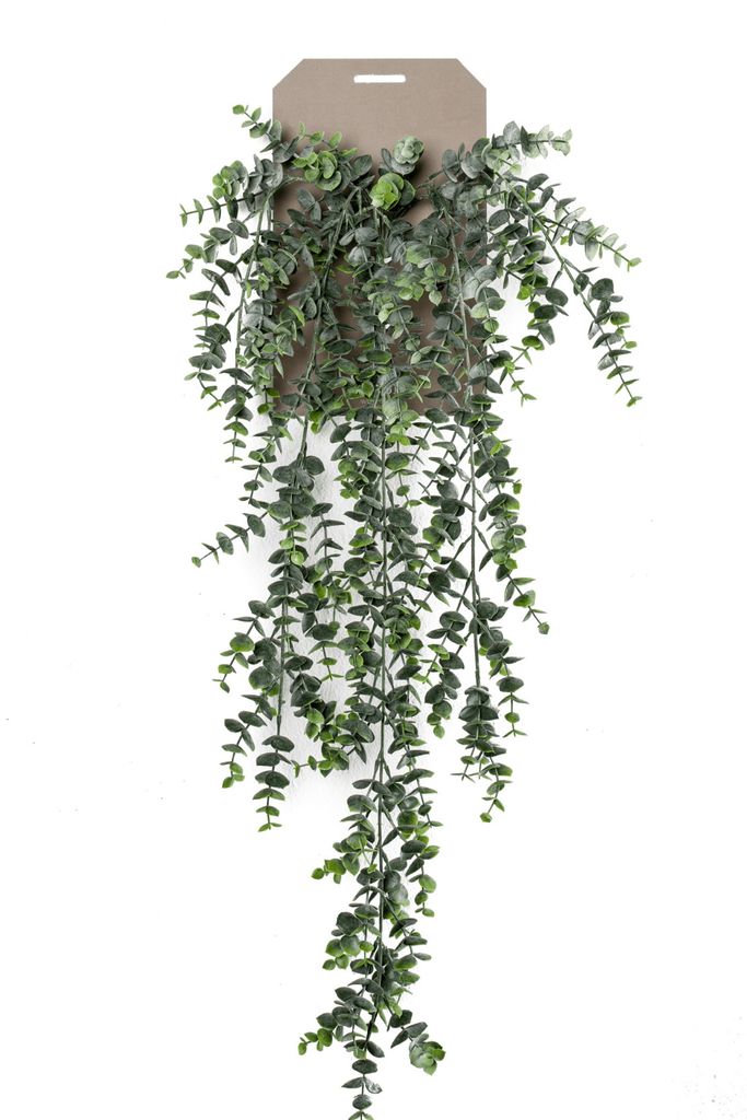 künstlicher Eucalyptus hängend mit 5 Ranken grün L. 75cm Produktbild 