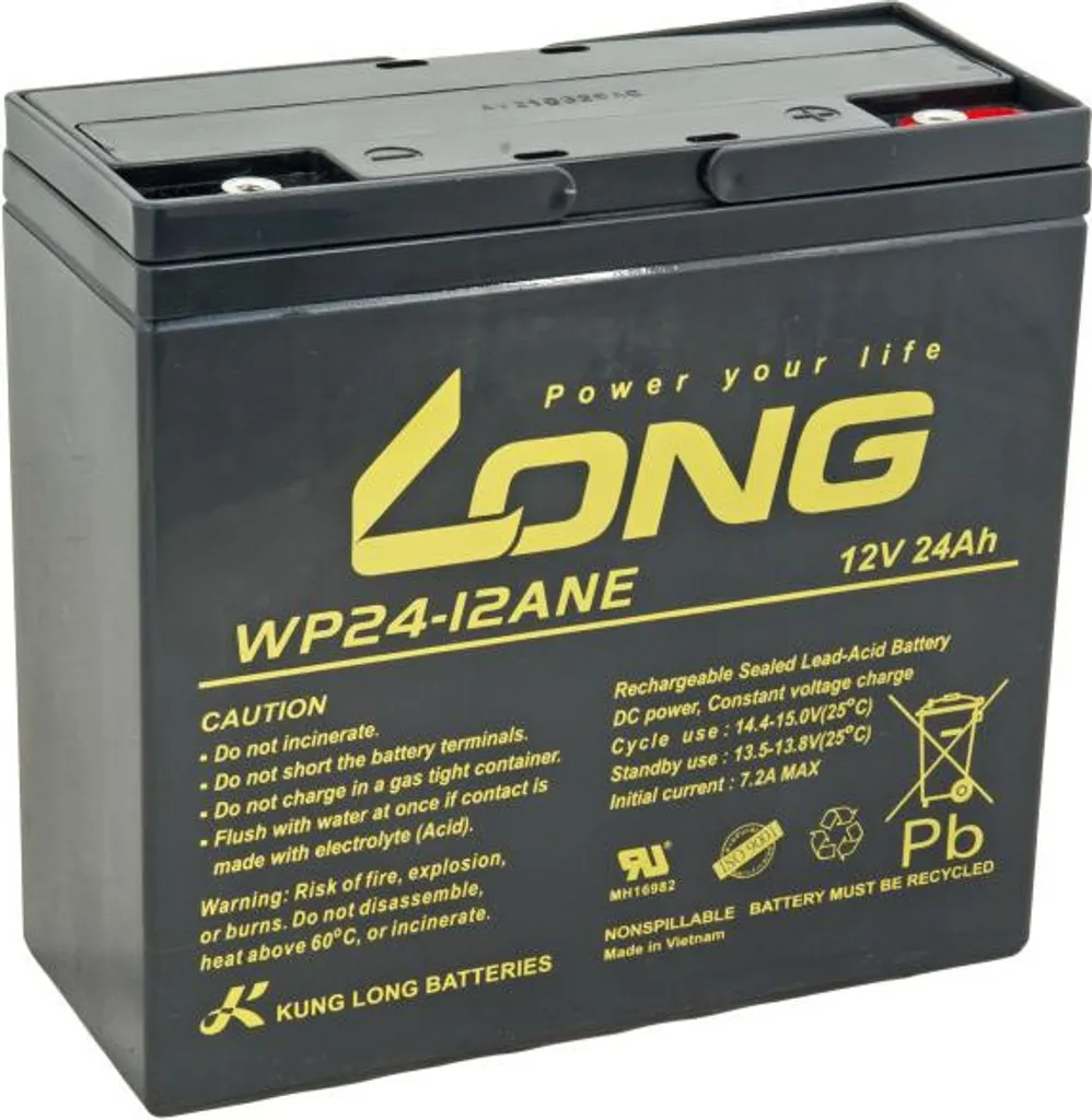 Batterie 12V 24Ah LONG WP24-12ANE Technologie AGM et Terminaux Vis M5