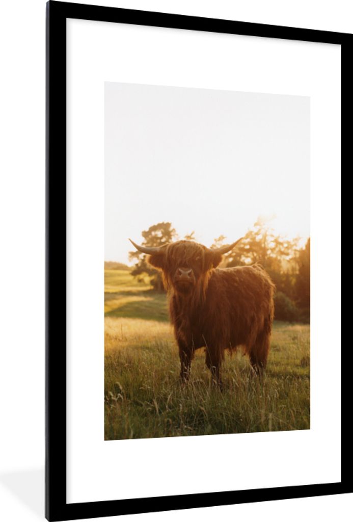 MuchoWow Gerahmtes Poster Schottischer Hochländer - Gras - Sonne 60x90 cm - Poster mit Schwarzem Bilderrahmen Wandposter Rahmen Foto Bilder - De...