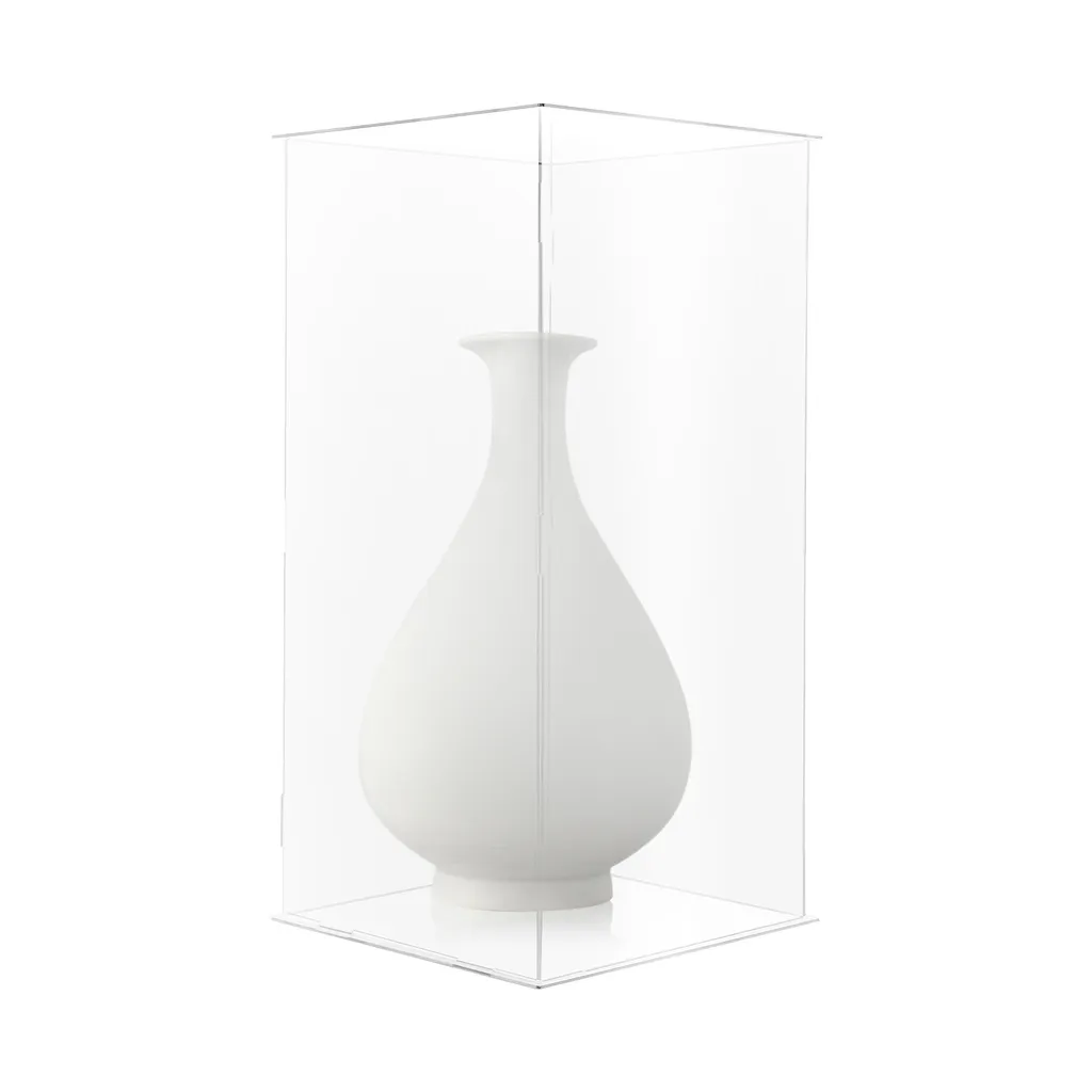 Vitrine d'affichage 30x30x60cm avec protection anti-poussière robuste
