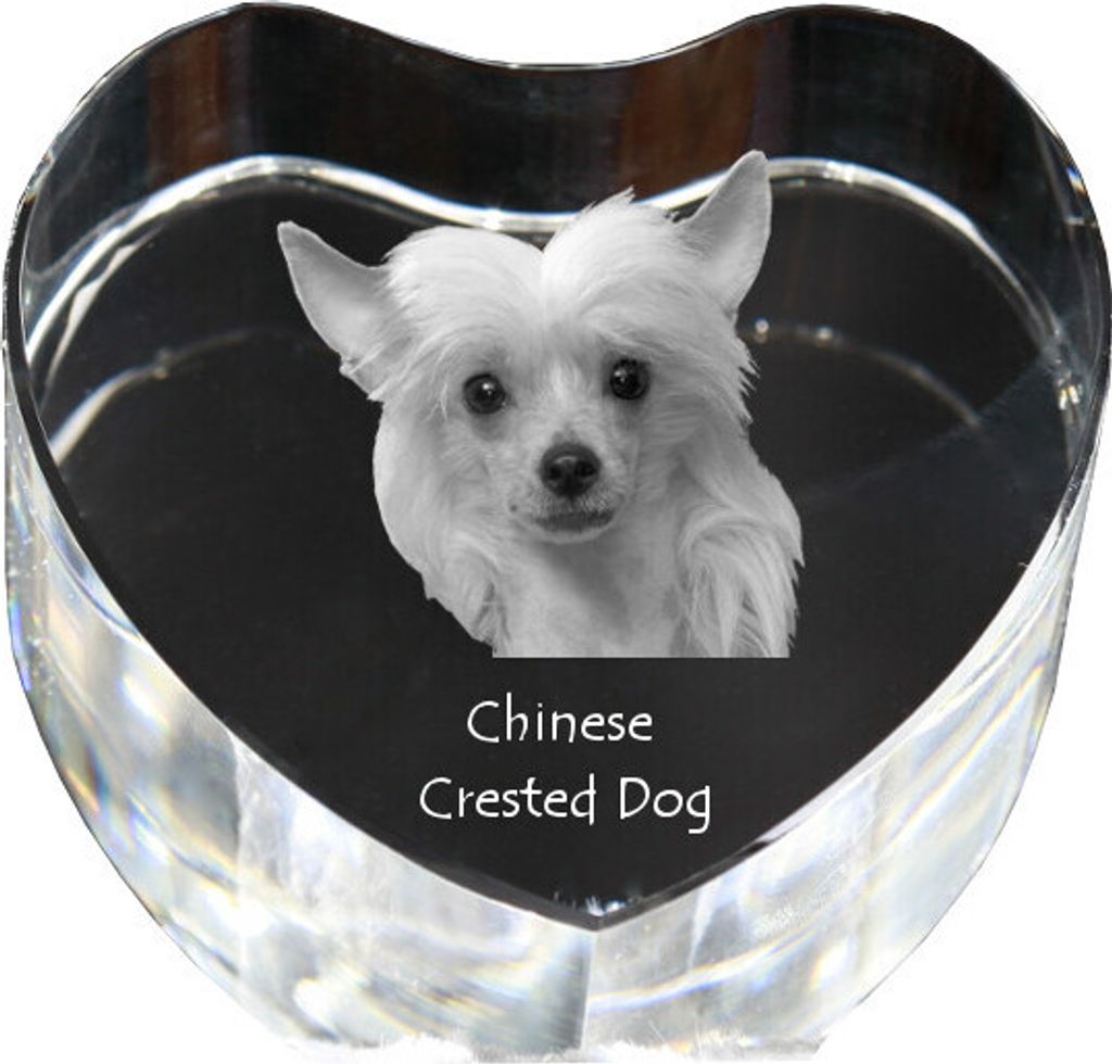 Chinesischer Schopfhund - Hundebild im Kristall, Kristallherz, einzigartiger Bilderrahmen der Marke Art-Dog