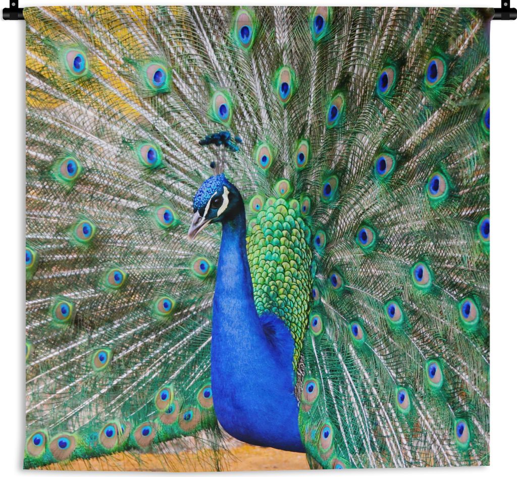 MuchoWow Wandteppich Wandbehang Pfau - Federn - Blau 150x150 cm Tapisserie Dekoration Wandtuch - Wohnaccessoires - Modernes
