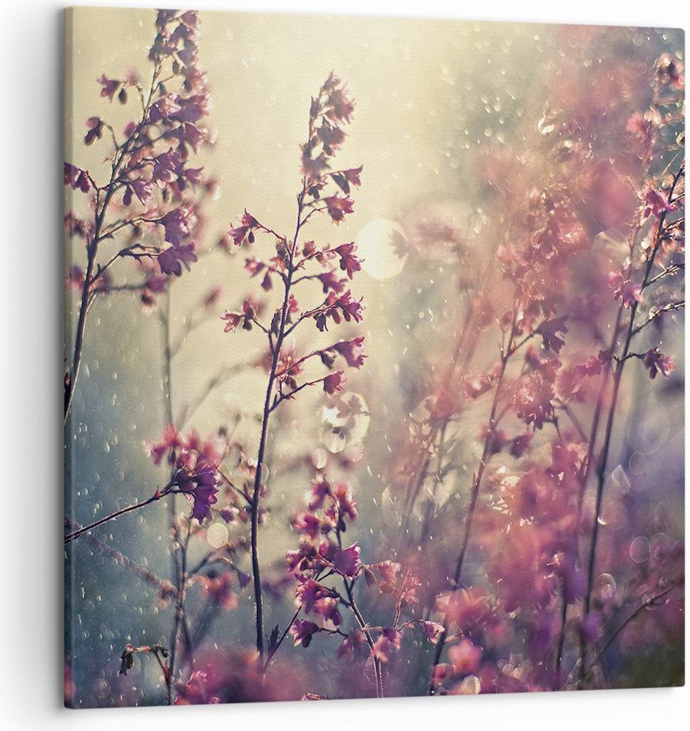 Bild auf Leinwand - Leinwandbild - Einteilig - Blumen Regen Licht - 50x50cm - Wand Bild - Wanddeko - Wandbilder - Leinwanddruck - Bilder - Wanddeko...