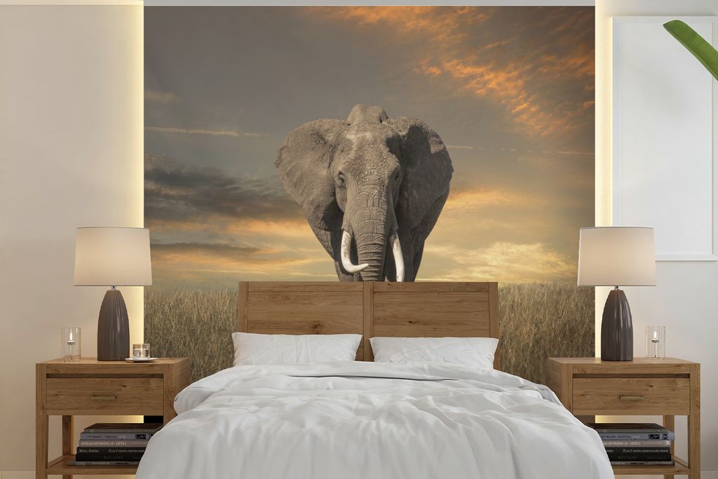MuchoWow Fototapete für Wohnzimmer oder Schlafzimmer Wandtapete Vinyl Motivtapete Weidender Elefant - 220x220 cm - Tapeten