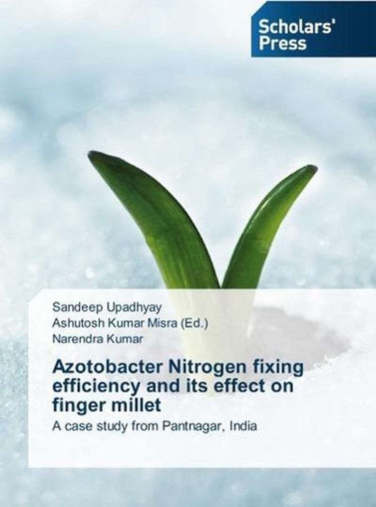 Azotobacter Nitrogen fixing efficiency and its effect on finger millet