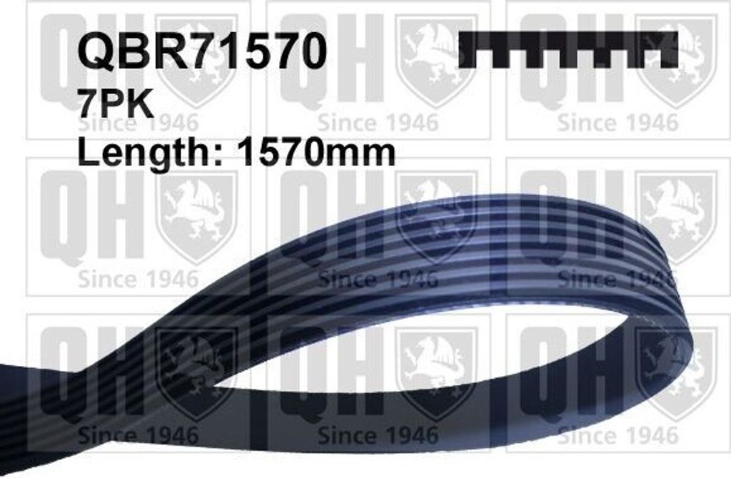 QUINTON HAZELL Keilrippenriemen 1570mm für RENAULT MEGANE III Grandtour (KZ0/1) QBR71570