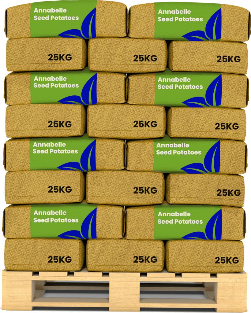 Saatkartoffeln Annabelle A 28/32 (40x = 1000 kg) - Organifer