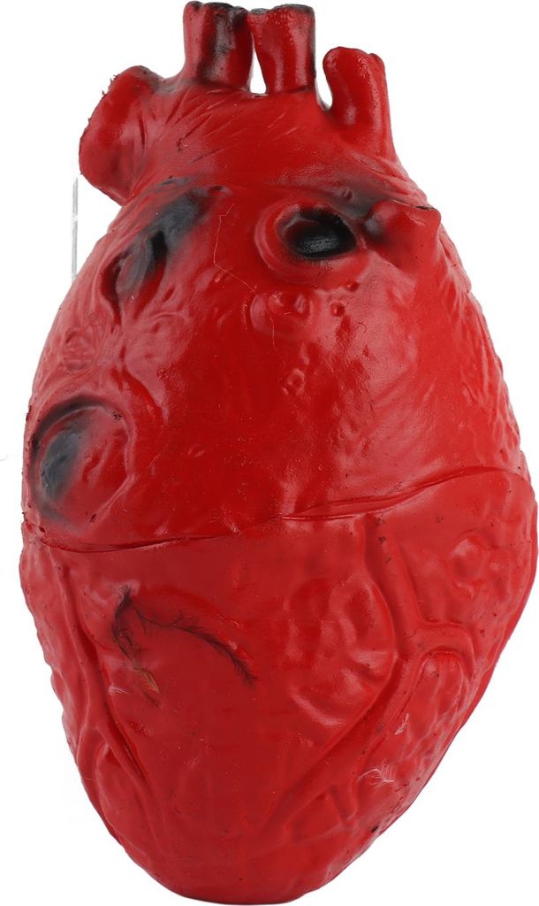 Künstliches Herz Latex – lebensgroß, blutiger Horror Dekoartikel für Halloween, realistische Requisite für Party & Gruseldekoration