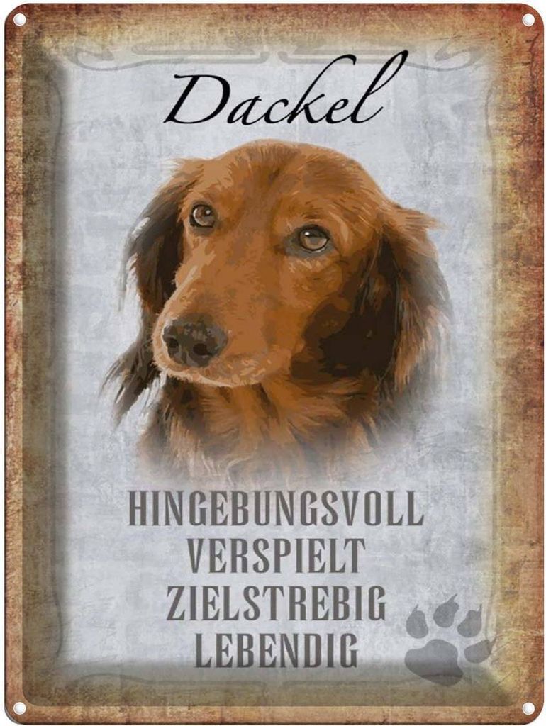 vianmo Blechschild 40x30 cm Dackel Hund lebendig