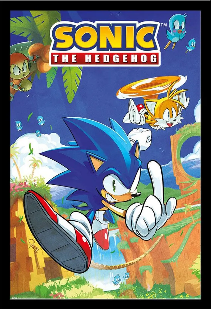 Déco Chambre Enfant Sonic : Poster Tails Encadré Cadre Noir Incassable