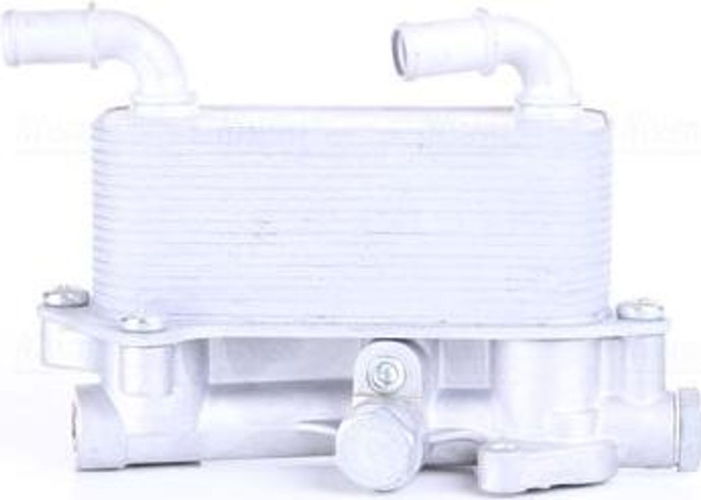 NISSENS 91182 Motorölkühler OE 12786259 kompatibel mit Signum, Vectra