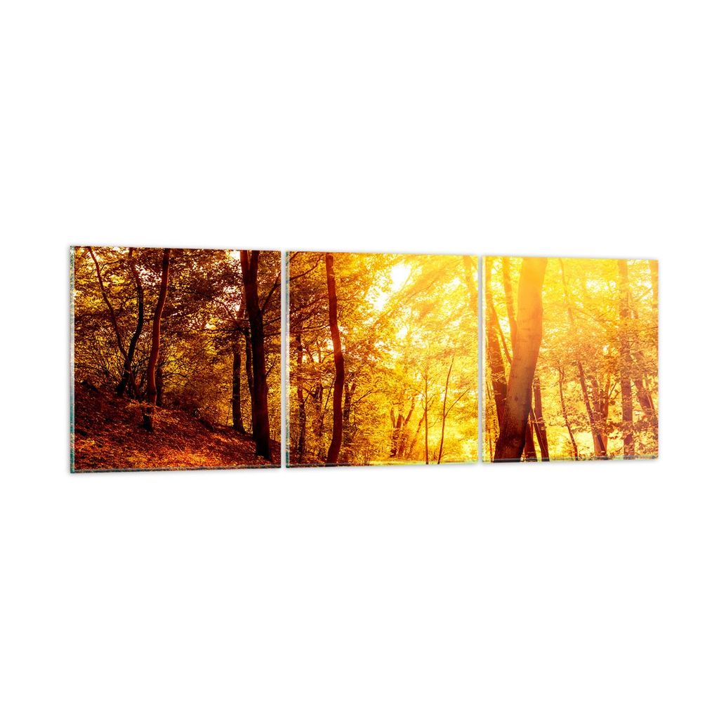 Bilder auf glas - Wald Baum Natur - 150x50cm - Glasbilder - Wandbilder - Kunstdruck - zum Aufhängen bereit - Wanddekoration aus Glas - Glas Bilder...
