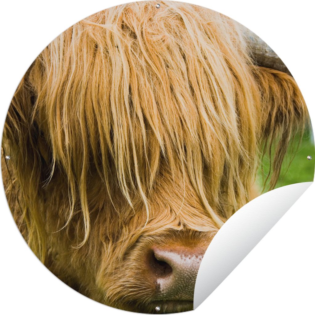 MuchoWow Gartenposter Outdoor-Poster Rund Schottischer Highlander - Gras - Fell - Tiere - Kuh Ø 150 cm Gartendeko Rundes Poster draußen