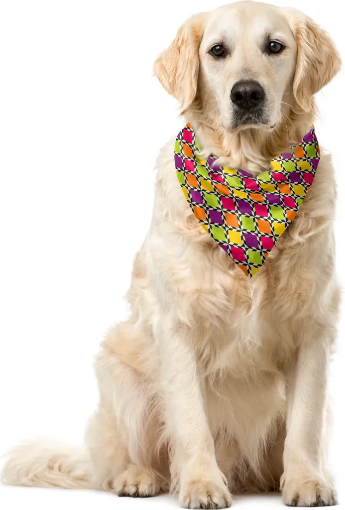 ABAKUHAUS Bandana Cane Resistente 55x55cm - Tessuto Lavabile