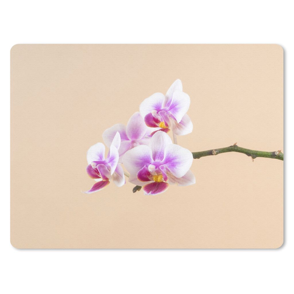 MuchoWow Mauspad Mousepad Weiße und rosa Orchidee 40x30 cm - Mousepads - Maus Mat - Pad - Mausunterlage - Anti Rutsch