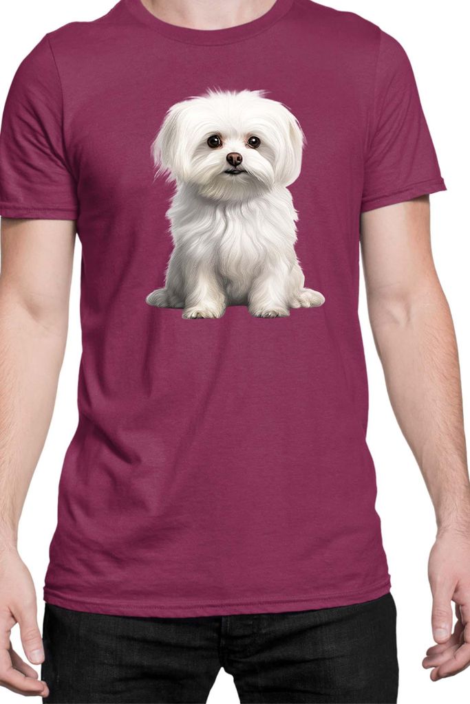 Herren T-Shirt Dogs Breeds Maltese Dog Breed 006, Man L / Burgundy