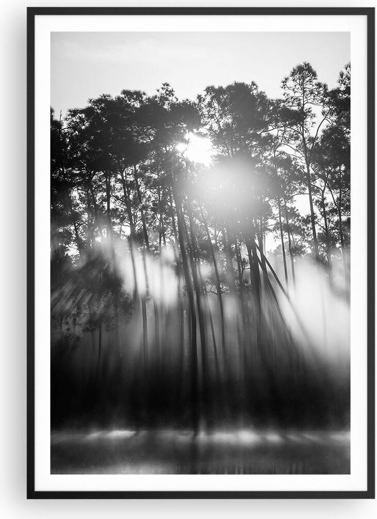 Gerahmtes Poster - Schwarzer Rahmen - Wald Kiefer Sonne - 70x100 cm - Wand Bild - Wanddeko - Wandbilder - Kunstposter - Wandposter - Bilderrahmen -...