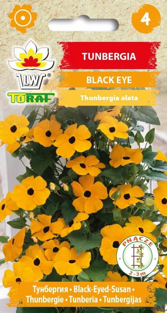 Tunbergia BLACK EYE orange Blumensamen - 669 Toraf