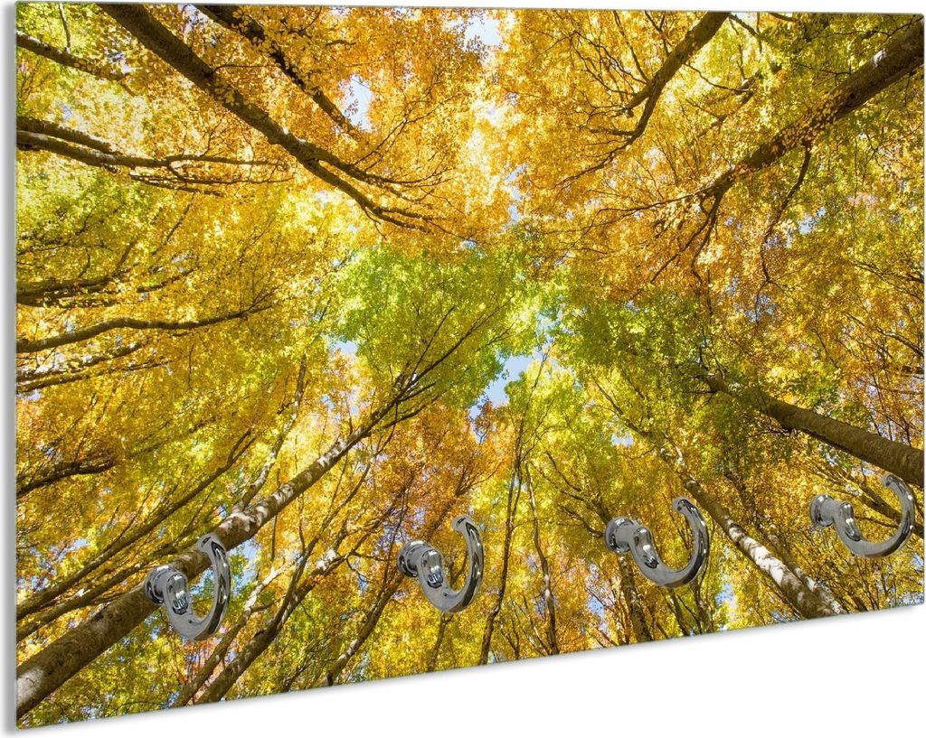 Wallario Schlüsselbrett aus Glas, Motiv: Goldener Herbst - Bunte Blätter von unten betrachtet, 30 x 20 cm mit 4 Haken