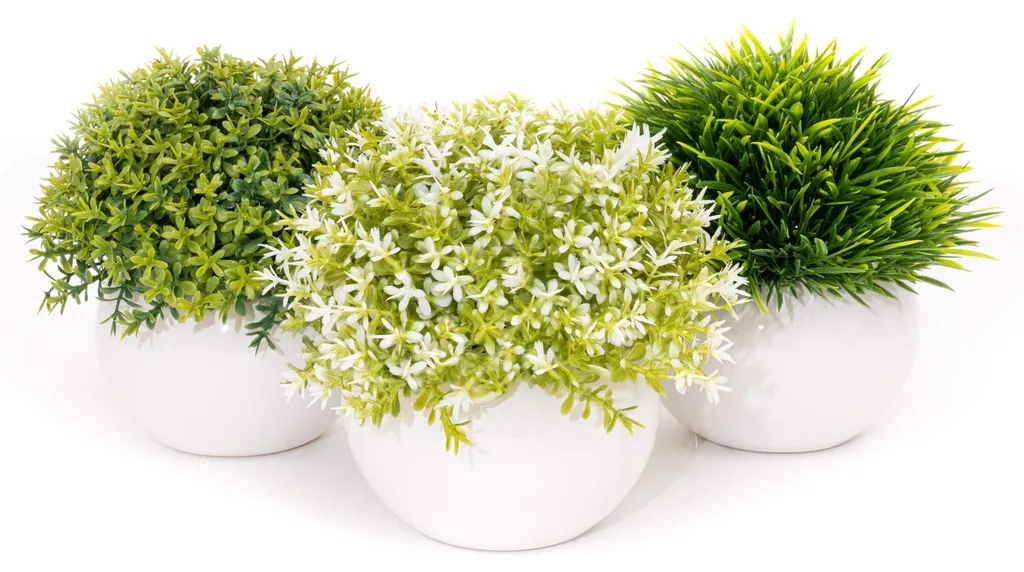 Mini Succulentes Artificielles en Pot de Céramique, Déco de Cuisine