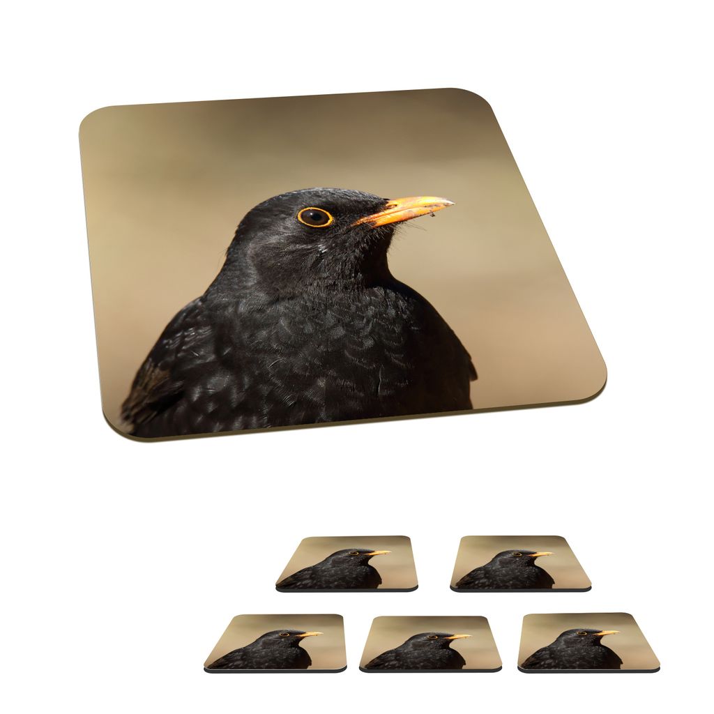 KitchenYeah Glasuntersetzer Quadratisch 6er Set Männliche Amsel mit gelbem Schnabel 10x10 cm Untersetzer für Gläser - Getränkeuntersetzer - T...
