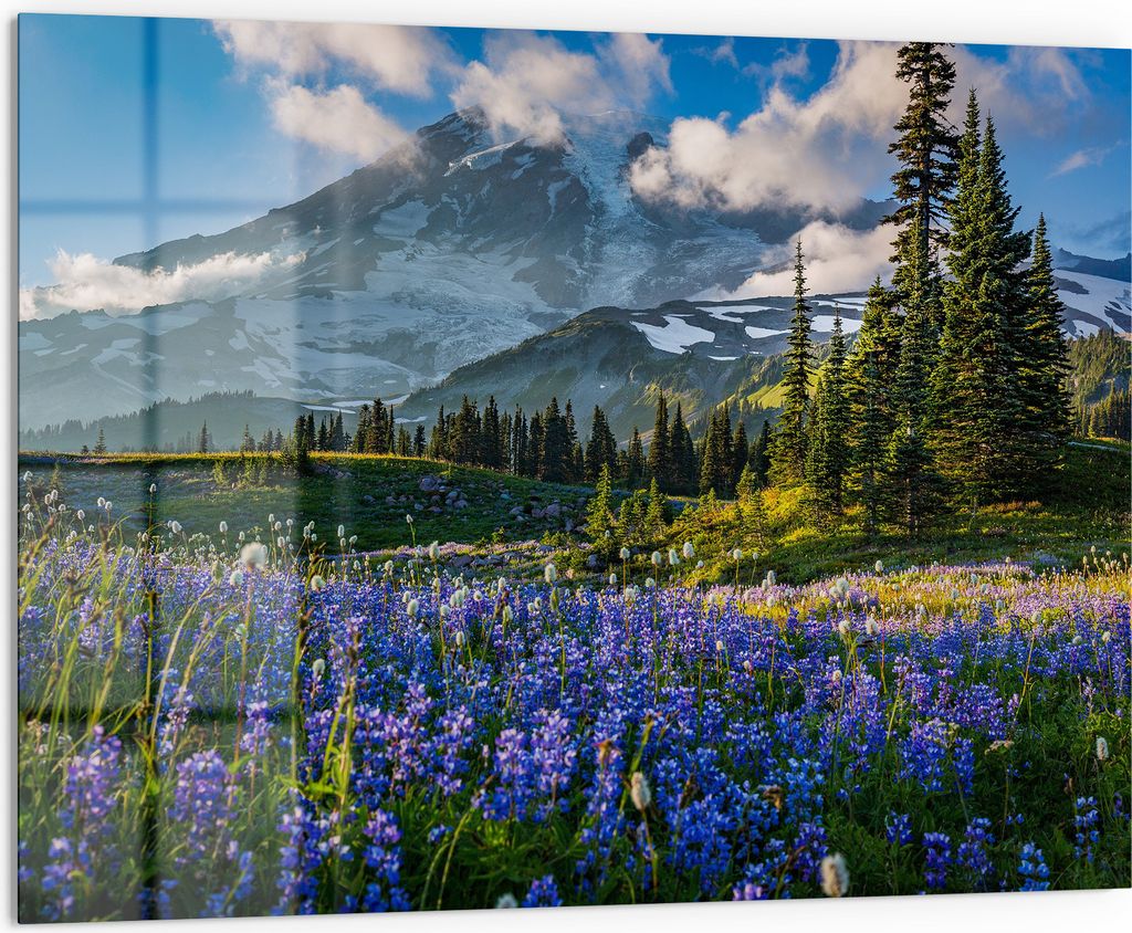 DEQORI Küchenrückwand Glas 80x60 cm 'Mount Rainier Wunderland' Spritzschutz Bad Rückwand Küche