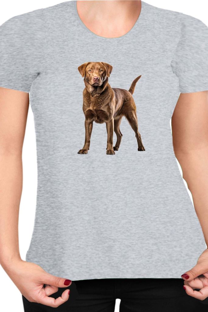 Damen T-Shirt Dogs Breeds Chesapeake Bay Retriever Dog Breed 006, Lady XS / Grau