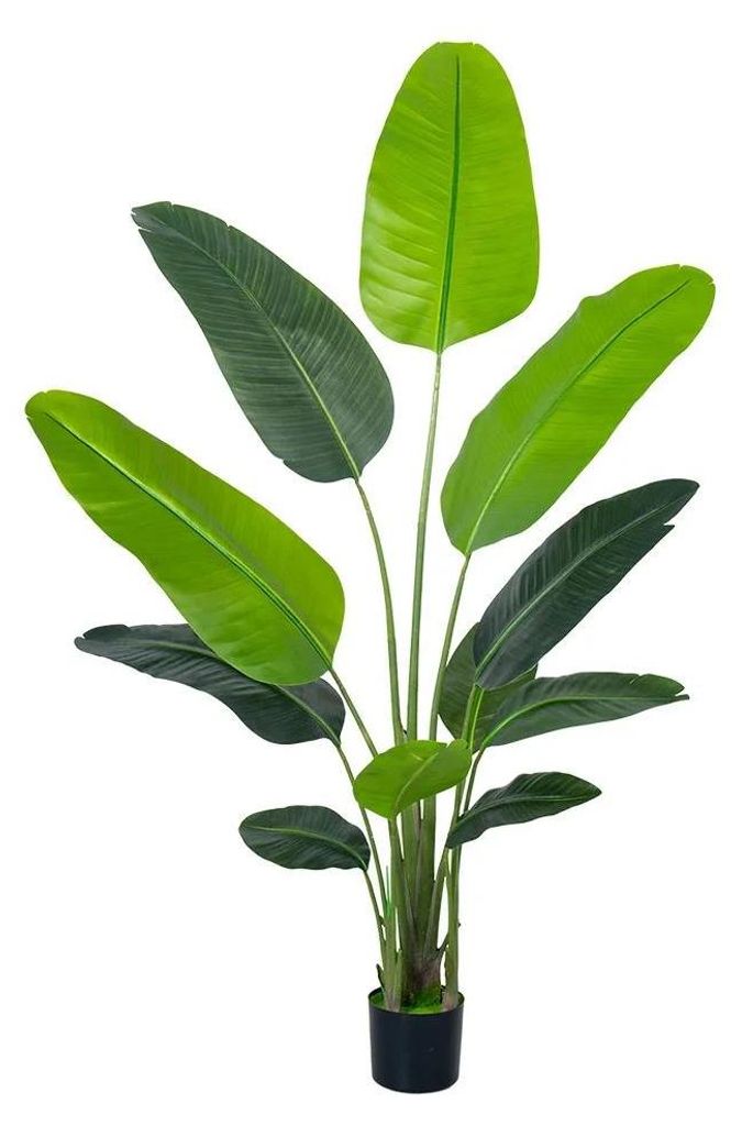 Künstliche Strelitzia - Bodenpflanze - PE-Material - Für den Außenbereich - Wohndeko & Babyparty - Grün