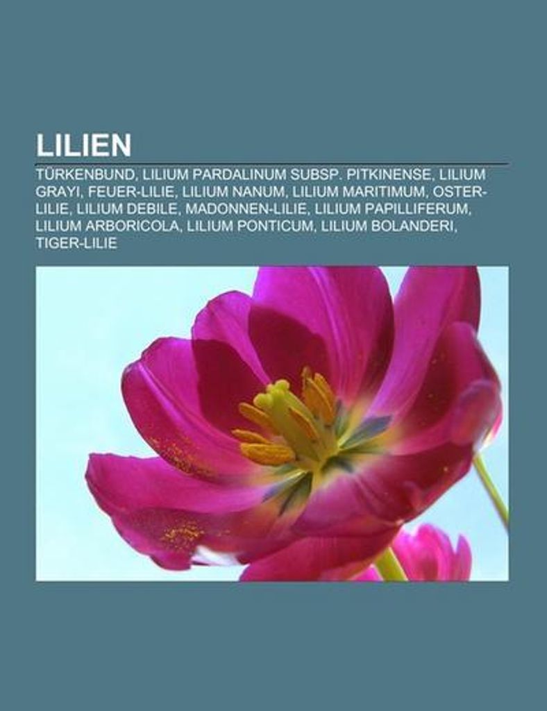 Lilien