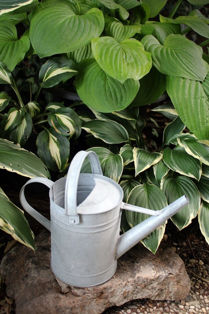 Esschert Design Altzink Gießkanne 1,5 Liter; OZ43 Produktbild 