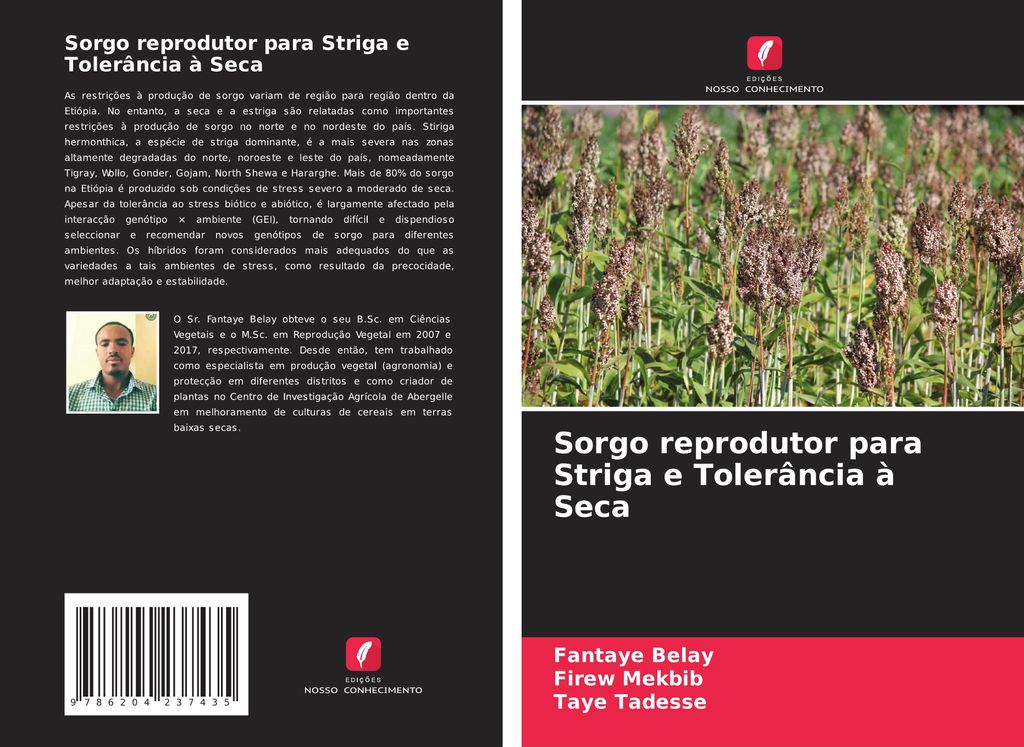 Sorgo reprodutor para Striga e Tolerância à Seca