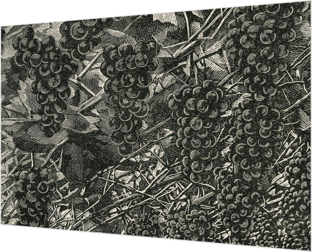 Wandtapete - Dekorative Tapete für Wohnzimmer - Tapetenfolie für Wanddekoration - 152x104 cm - Traubenabdruck