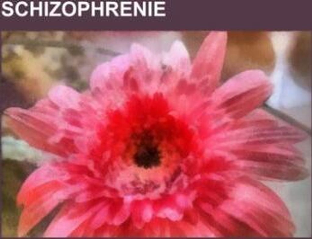 Schizophrenie