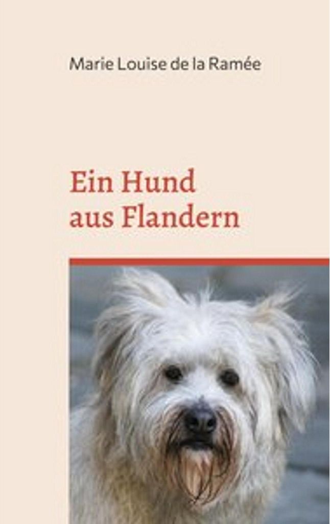 Ein Hund aus Flandern