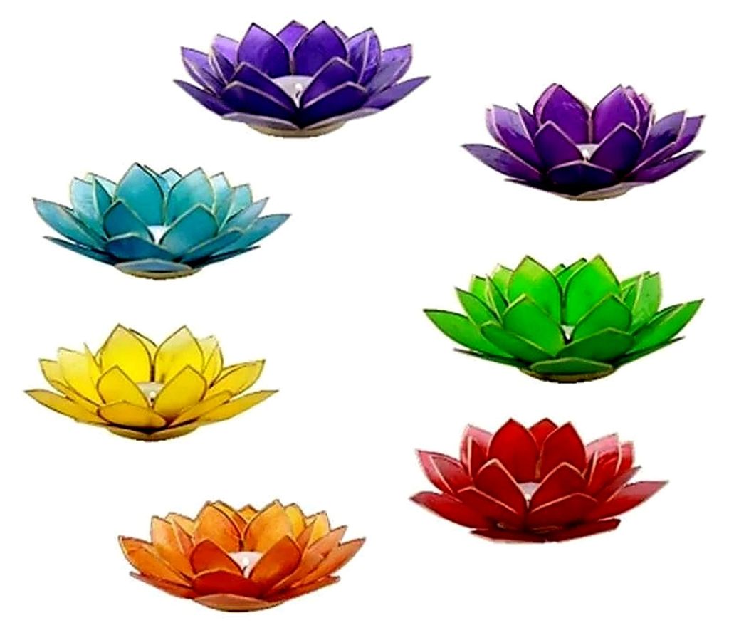 Set aus 7 Capiz Lotus Teelichthaltern mit Goldrand - 13,5 cm