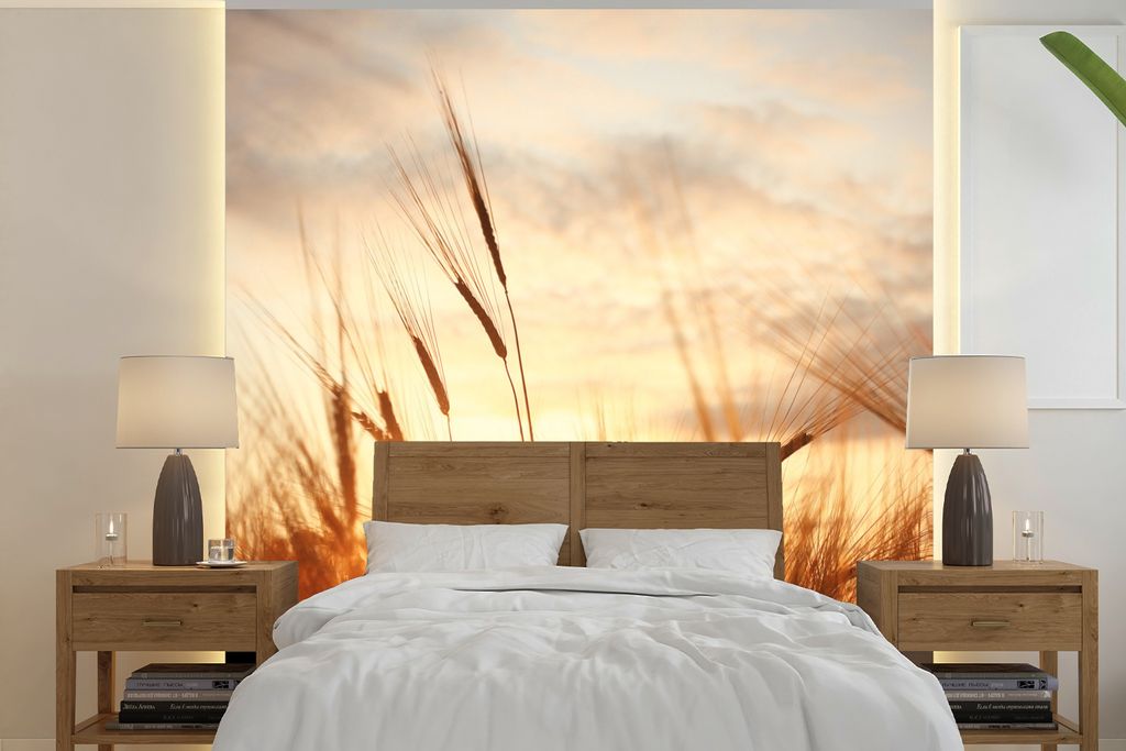 MuchoWow Fototapete für Wohnzimmer oder Schlafzimmer Wandtapete Vinyl Motivtapete Schilf - Gras - Sonnenuntergang - Natur - Horizont - 240x240 c...