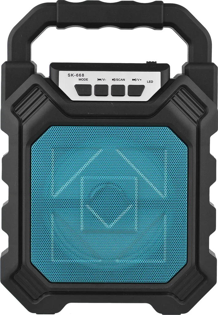 Cassa Wireless Potente per Palestra e Ballo: Karaoke Ready - 5